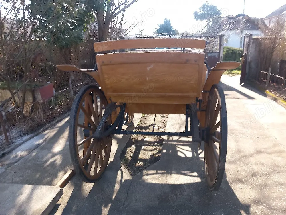 vind trasura de 1 sau 2 cai