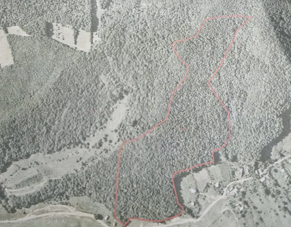 Vând 13,74 ha. de pădure!