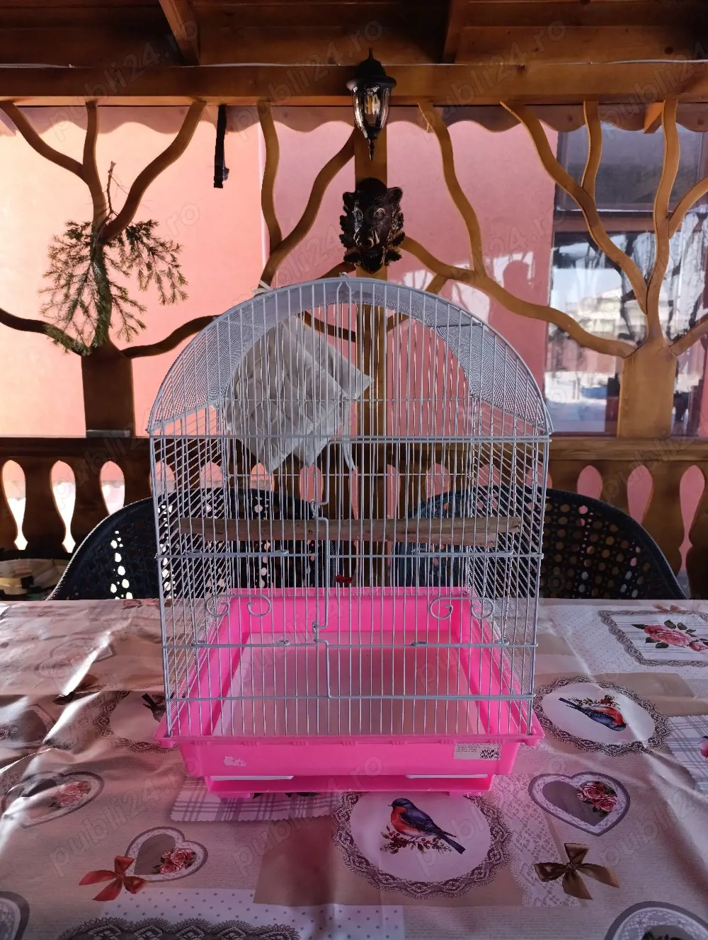 Cușcă medie păsări