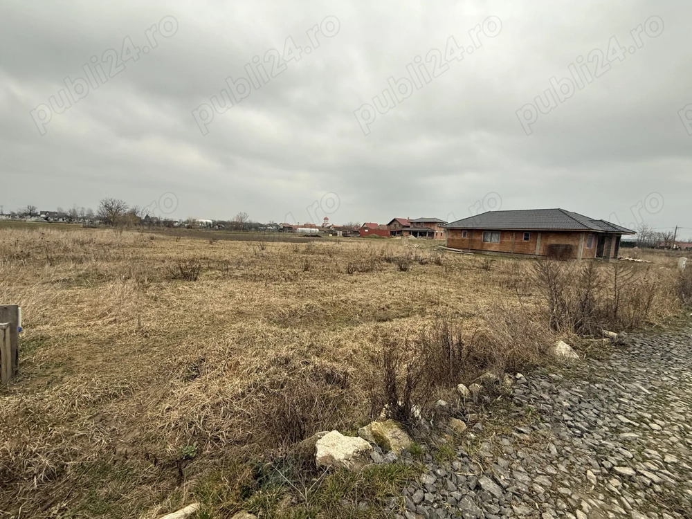 Vând teren intravilan în Cionchesti 