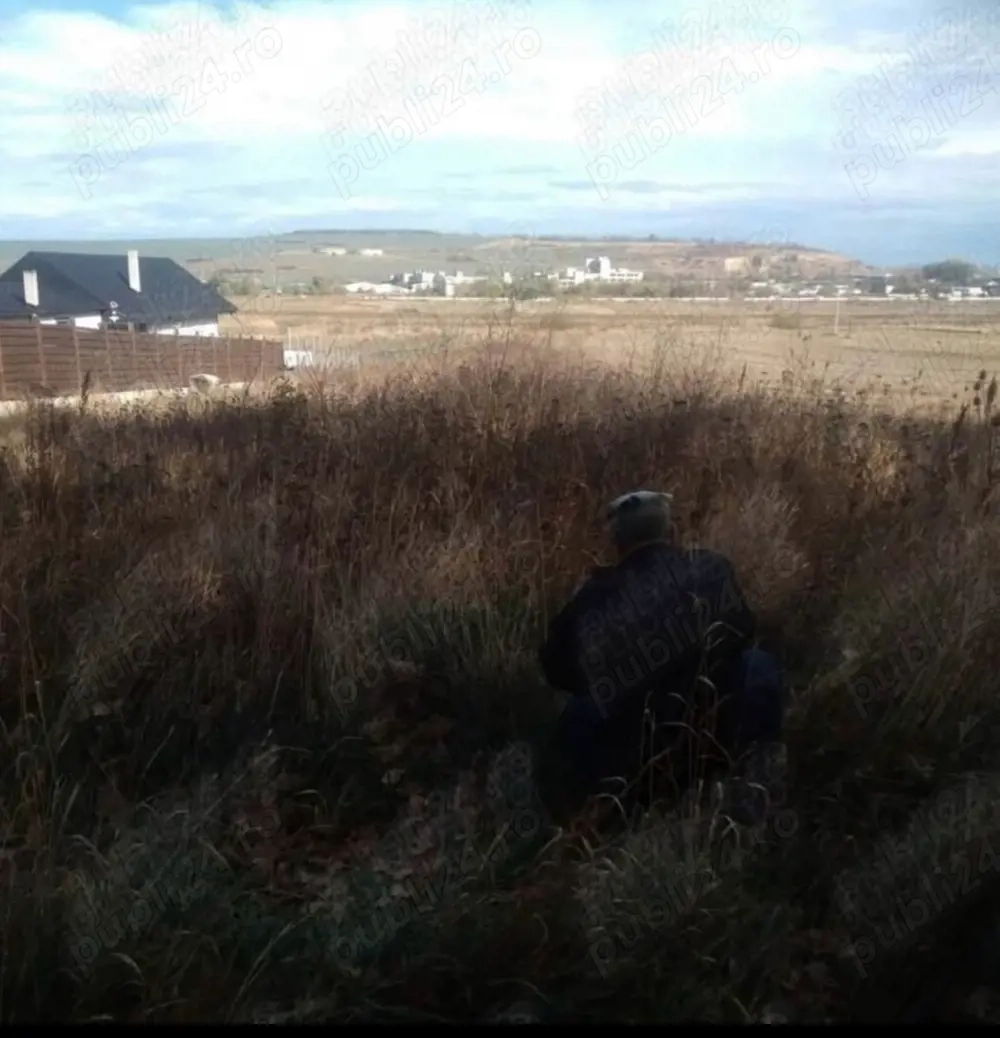 Teren 6500 mp (Vaslui) 