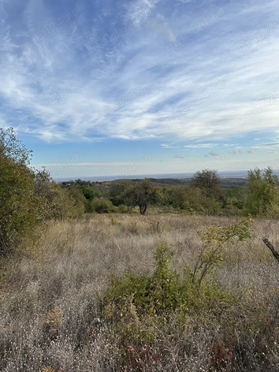 Teren intravilan 5246 mp   Malu Rosu, Ceptura   acces drum principal