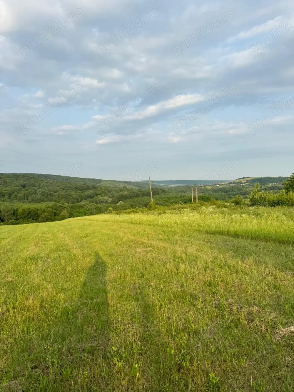 Teren intravilan Hidiselul de Sus