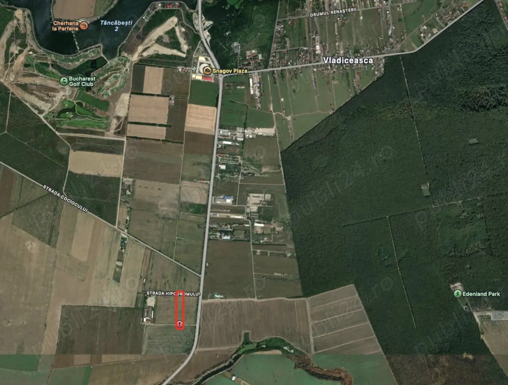 Tancabesti DN1, Equestria