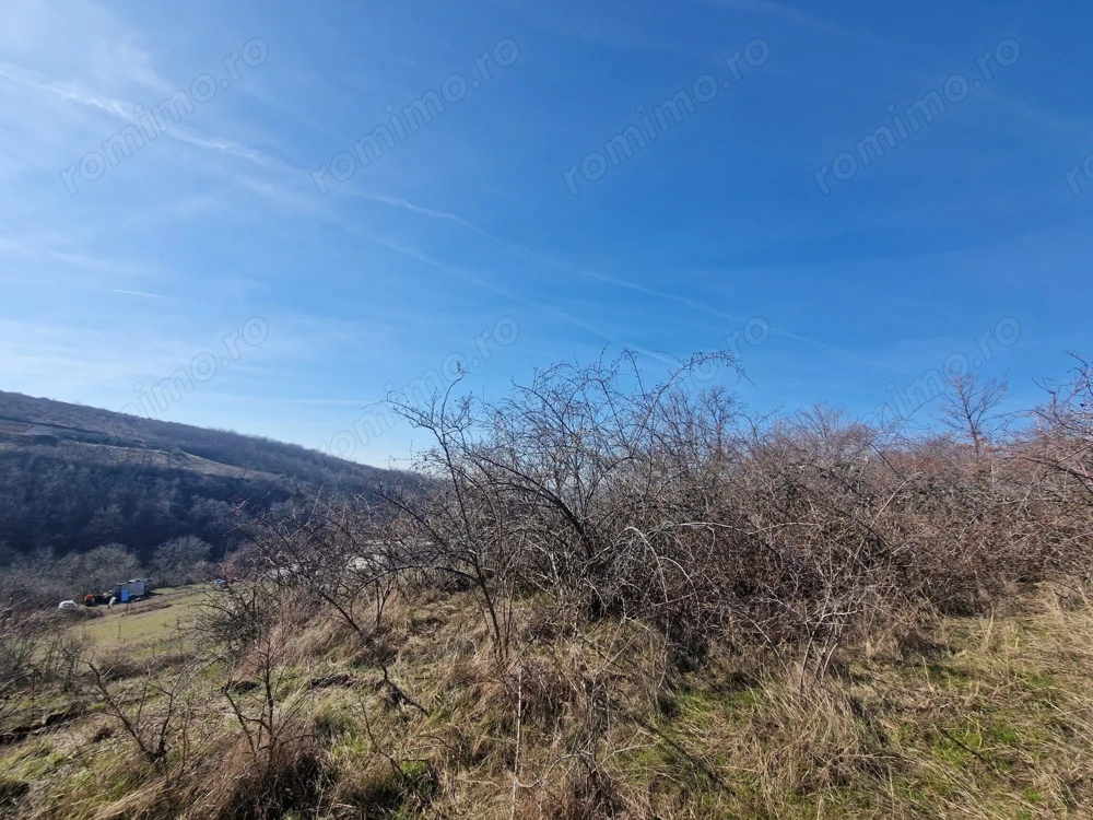 Teren extravilan, 23 400 mp, Cuvin (Ghioroc)