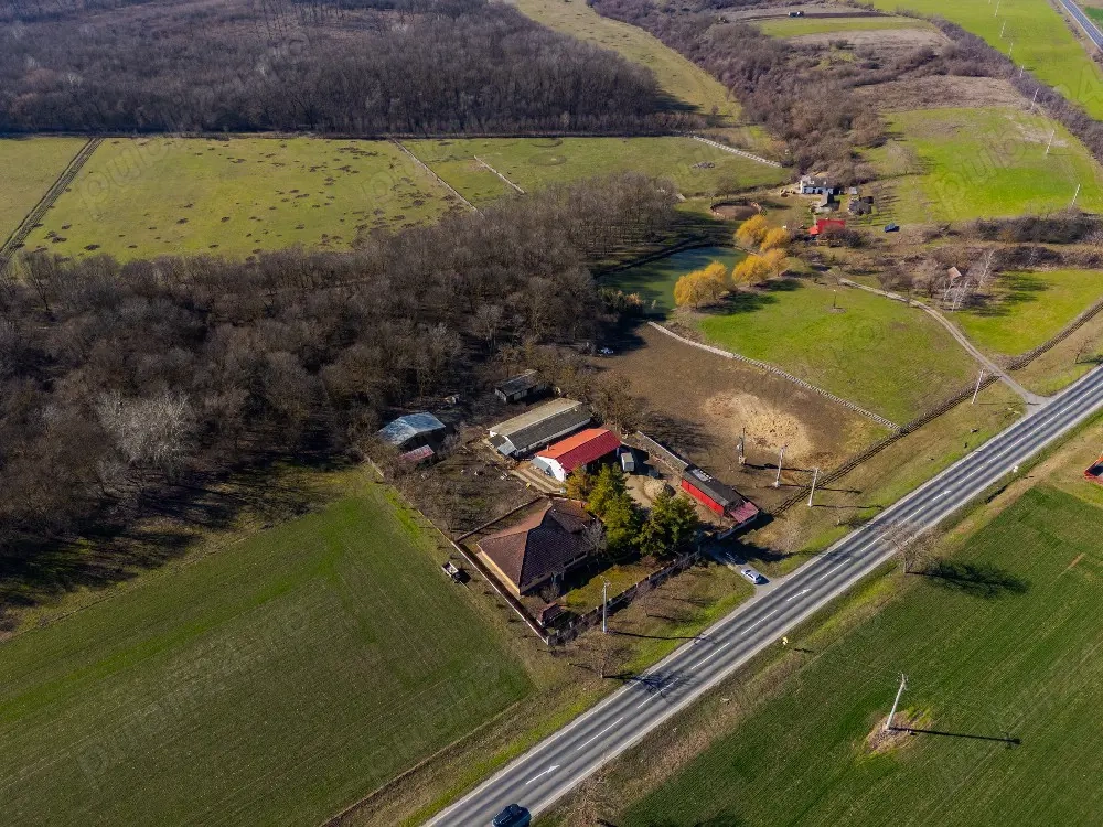 Proprietate rară,langă drumul judetean,Pecica