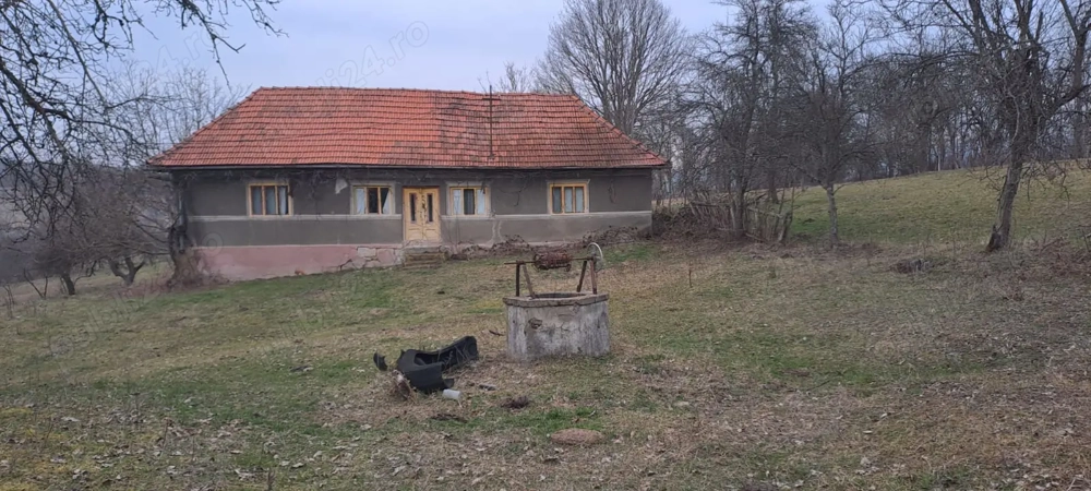 Casa batraneasca cu 1 hectar teren, zona de deal super linistita