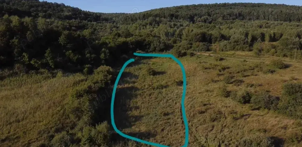 Oportunitate teren 5000 mp+2800 mp Padure Bonus