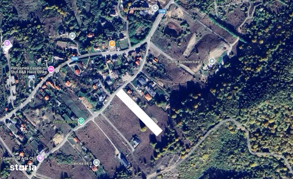 PF Vand Teren Intravilan Salicea - 100Euro mp