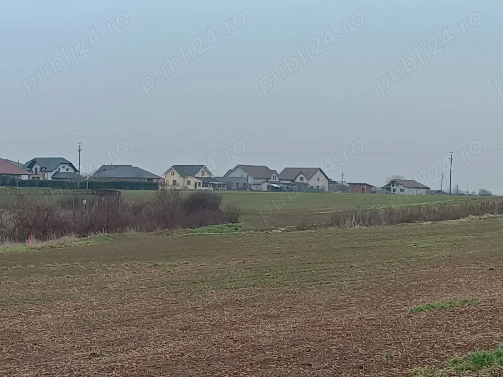 teren de vanzare livada bihor