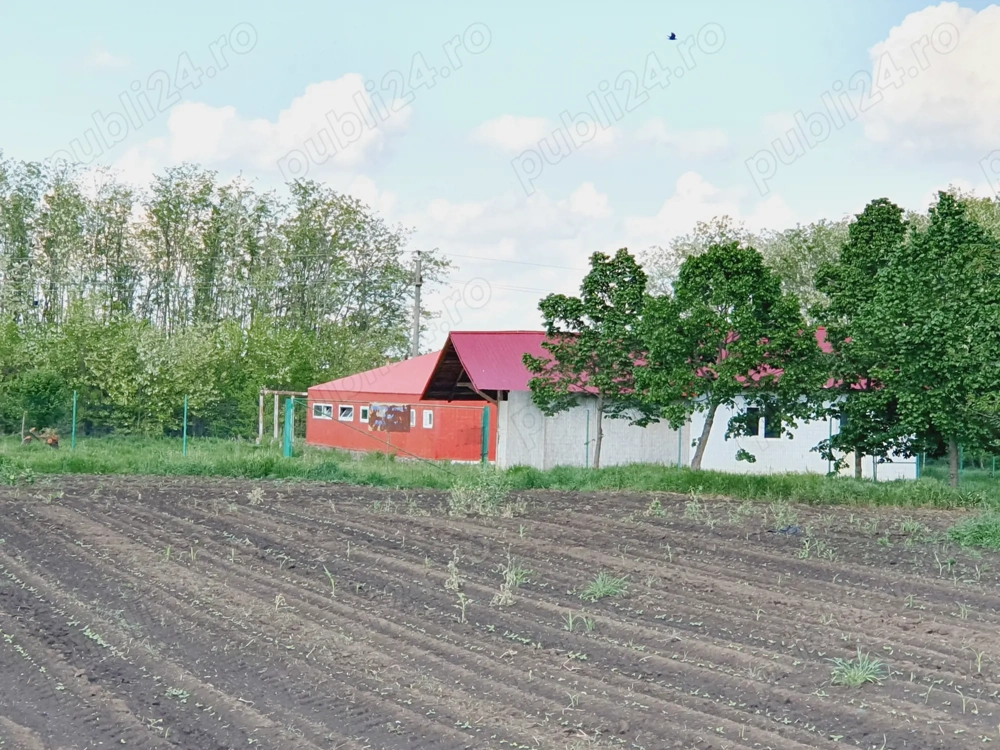 Vand ferma la 100 de km de Bucuresti. Reducere de la 60000 la 39000!