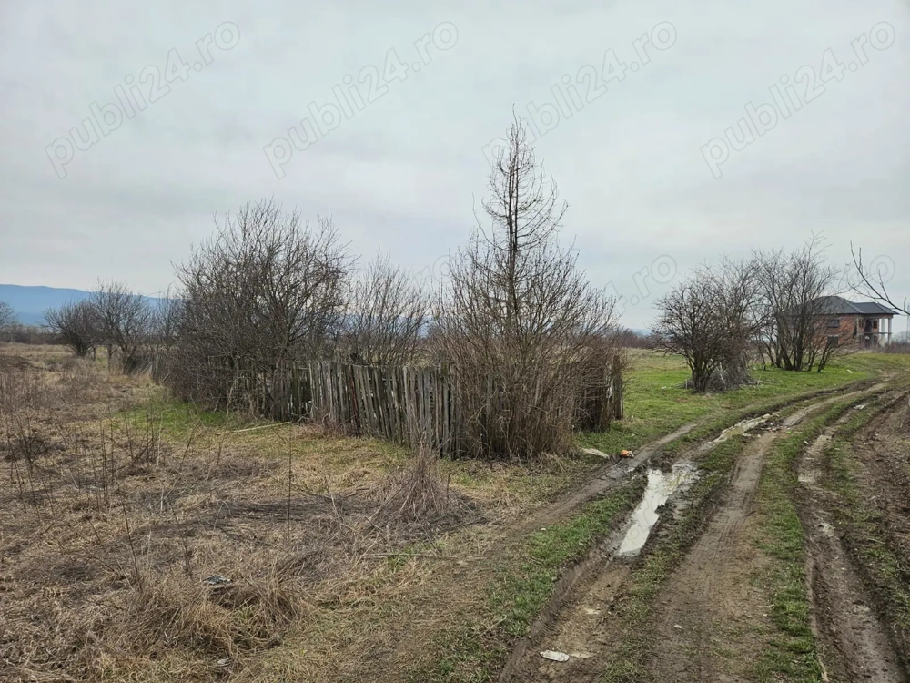 Particular, vand teren intravilan 3348 mp pe malul Oltului