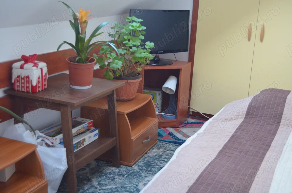 Busteni-Apartament cu doua camere,panorama spectaculoasa
