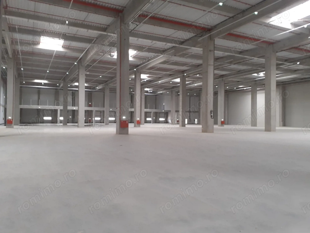 Depozite construite conform cerintelor / Warehouses build to suit