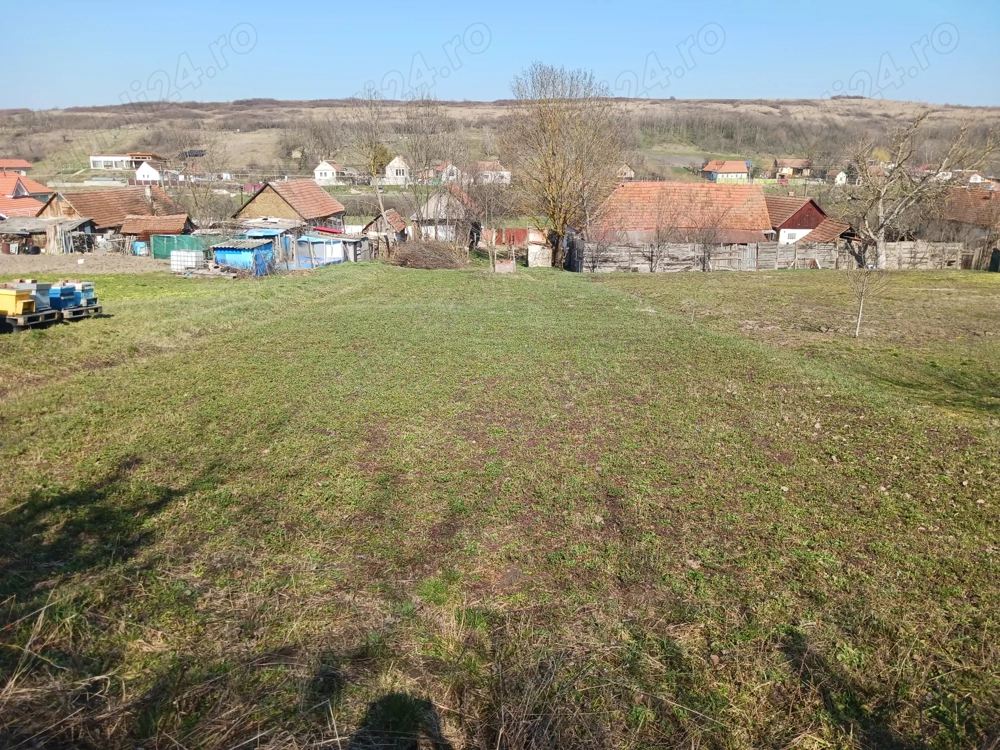  29.500     Teren intravilan 1681 mp în Stanciova (Recaș), la 33 min de Timișoara + casa 79 mp