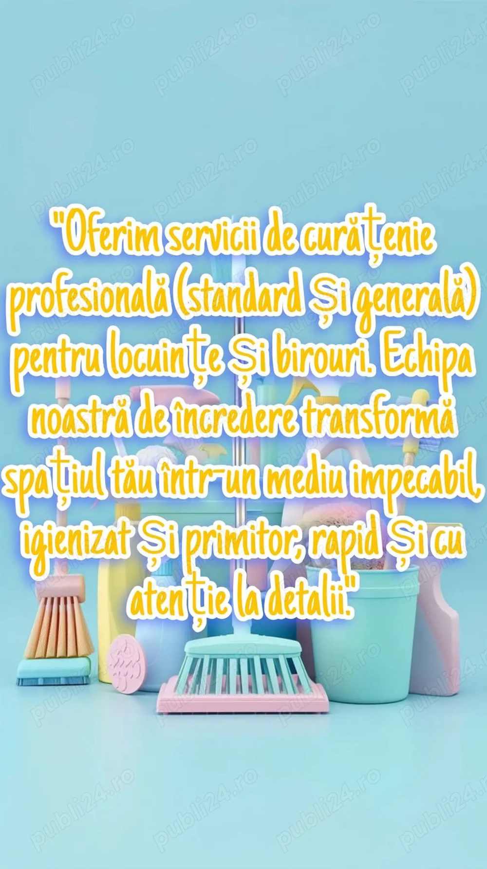 Oferim servicii de curatenie( cu produsele clientului).