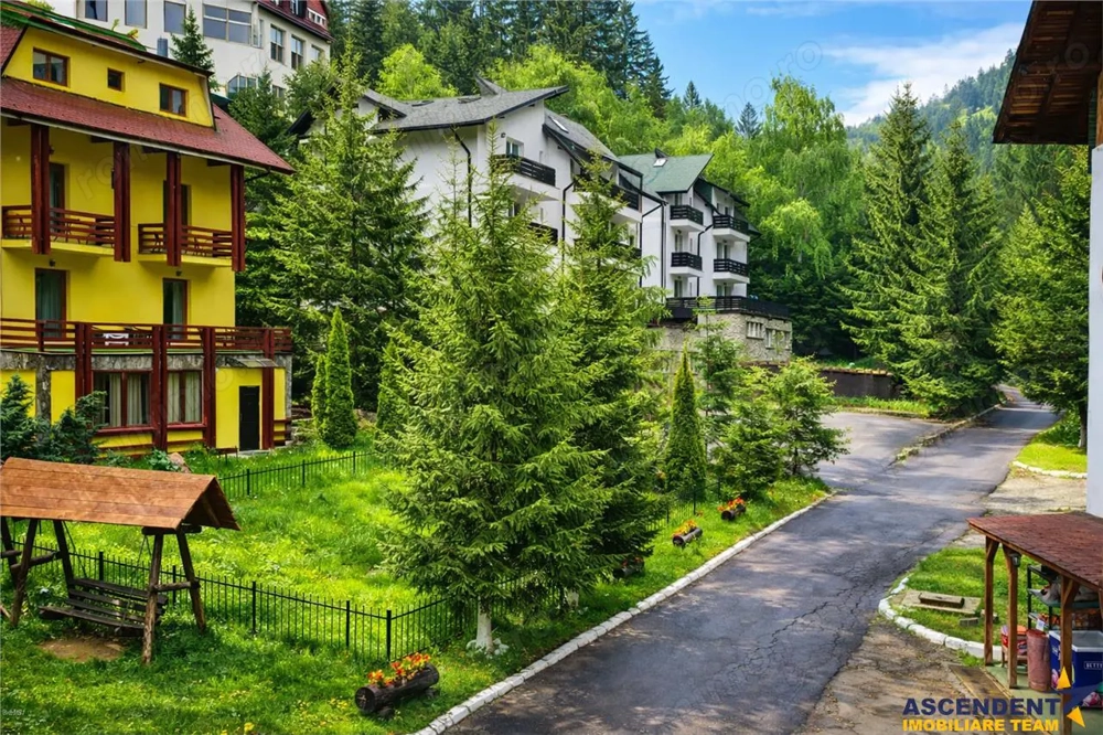 Tur LIVE! Refugiu in ambientul special al statiunii Poiana Brasov