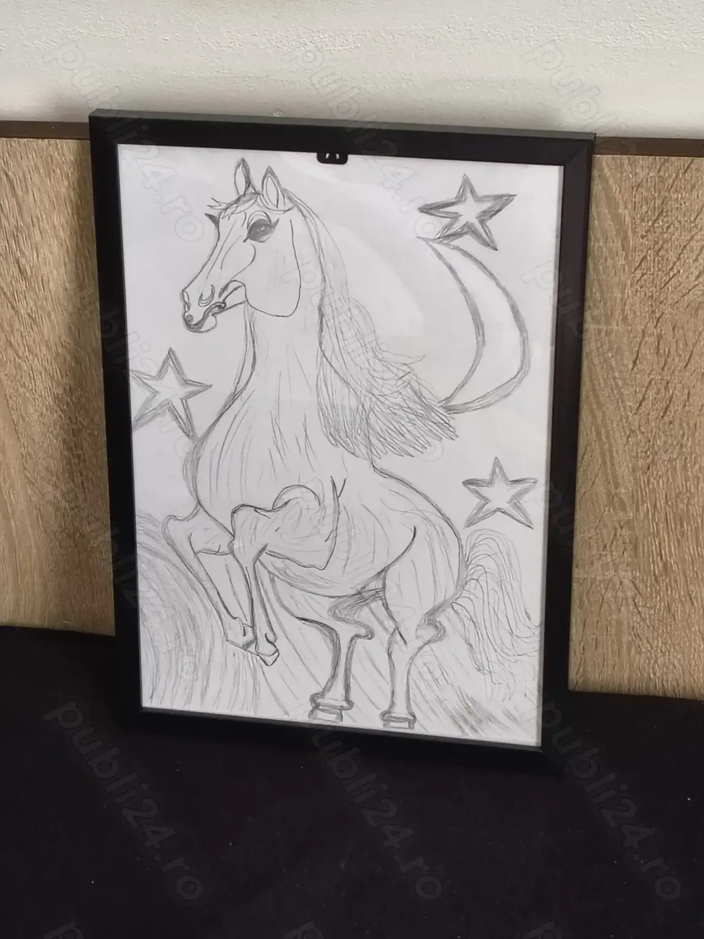 Desene animale-Originale A4 în creion negru cu carbon (Herlitz)-doar pentru orașul Cluj