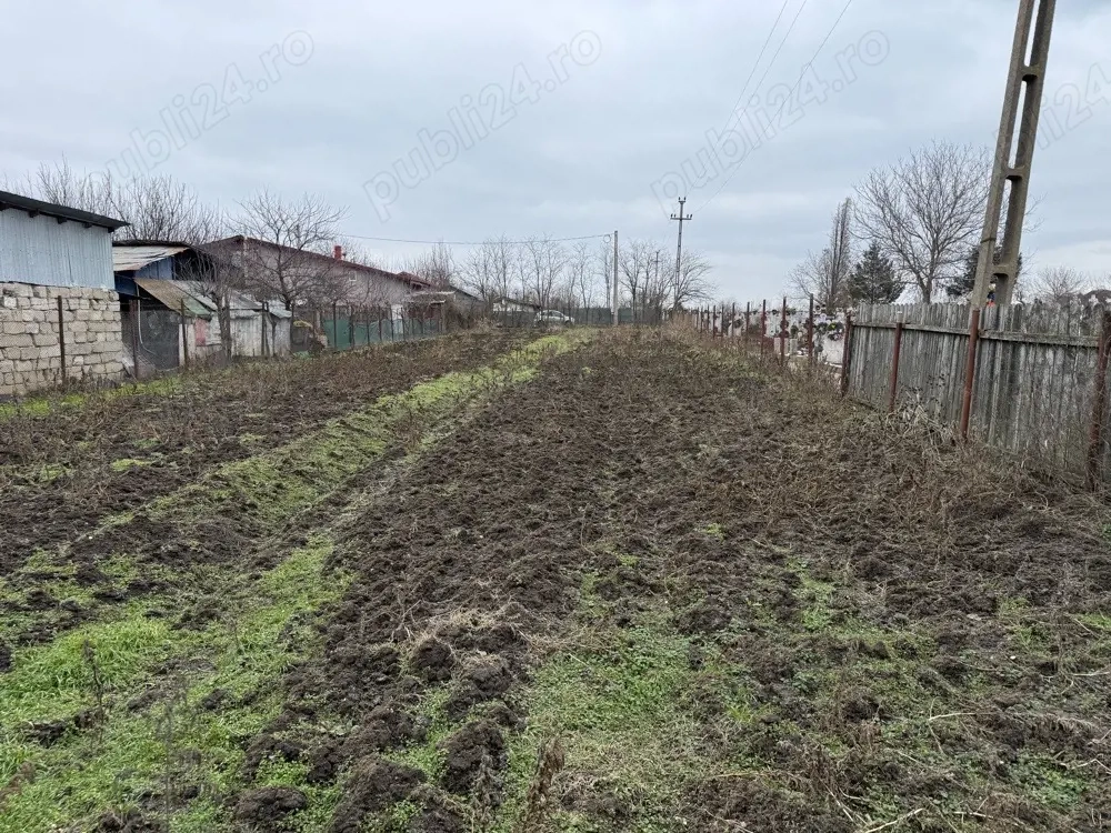 1000mp Padurisu-Frumusani, liber, utilitati, ingradit, teren intravilan