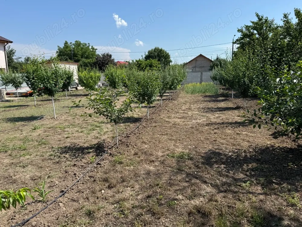 vand teren intravilan
