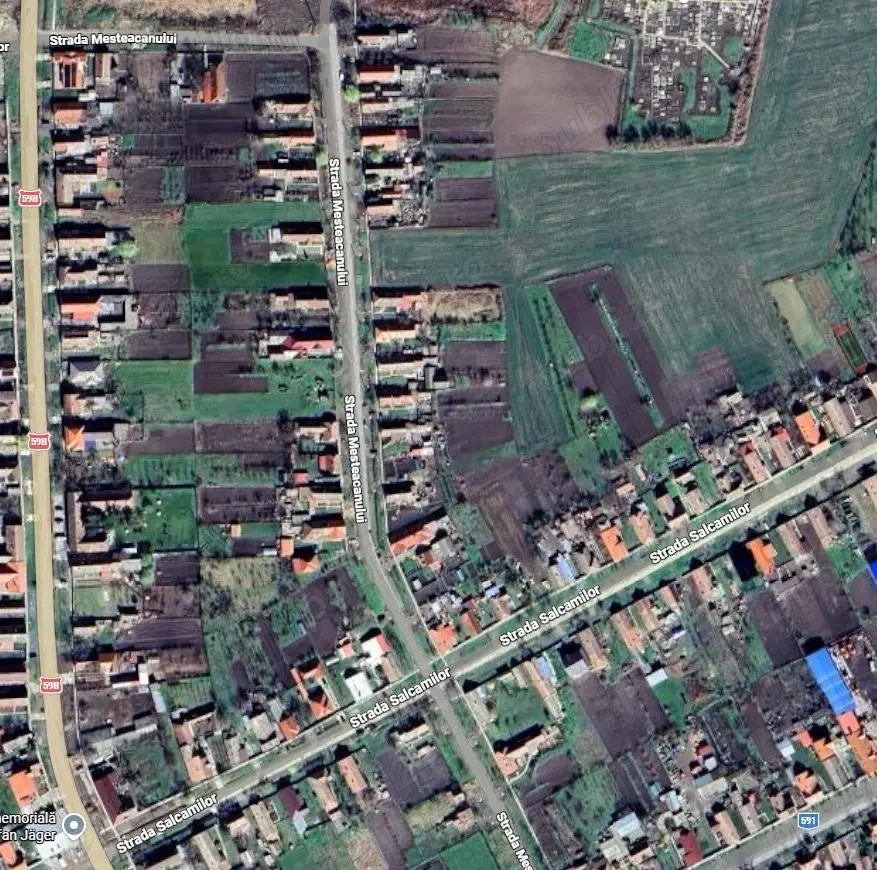 Proprietar, vand teren intravilan in comuna Cenei, Timis, str.Mesteacanului