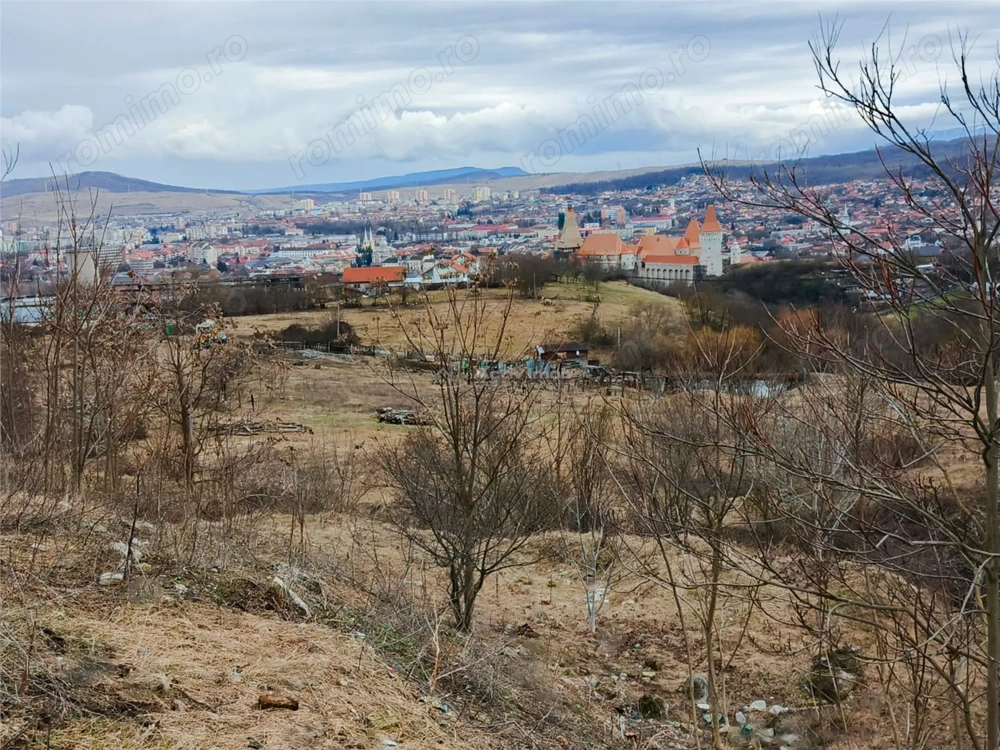 Teren 24.381 mp - Castelul Corvinilor