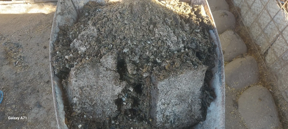 gainat de gaini ingrasamant natural