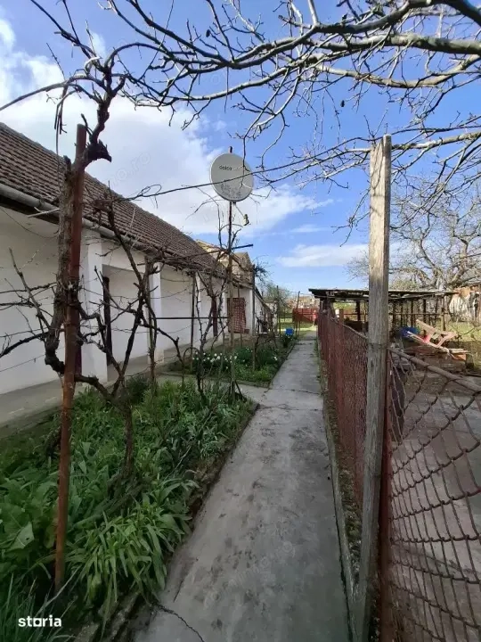 Sanandrei - Casa 3 Camere - Vatra Satului - Teren  Generos