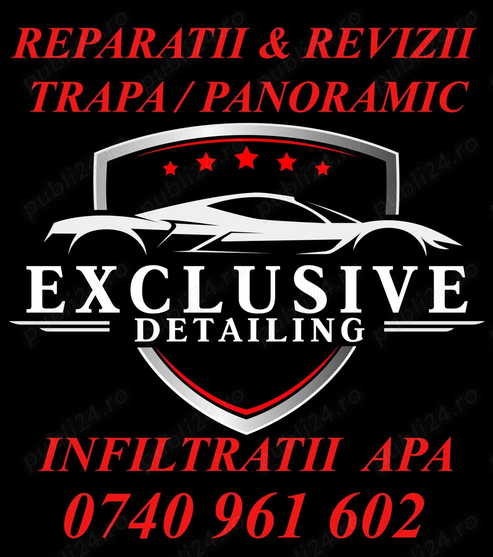 Reparatii Trapa, Panoramic , Scurgeri , Infiltratii apa Auto