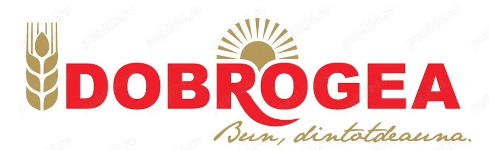 DOBROGEA PANIFICATIE angajeaza Inginer industria alimentara