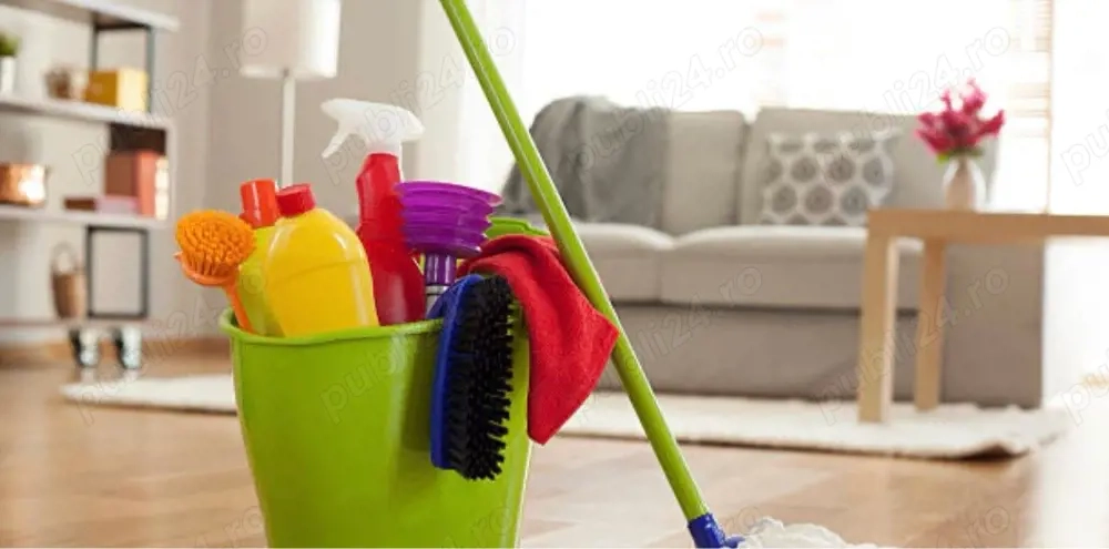 Servicii de curatenie 