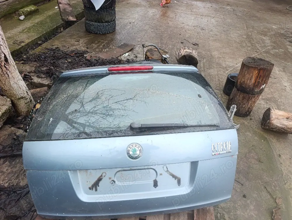 Haion Skoda Octavia 2