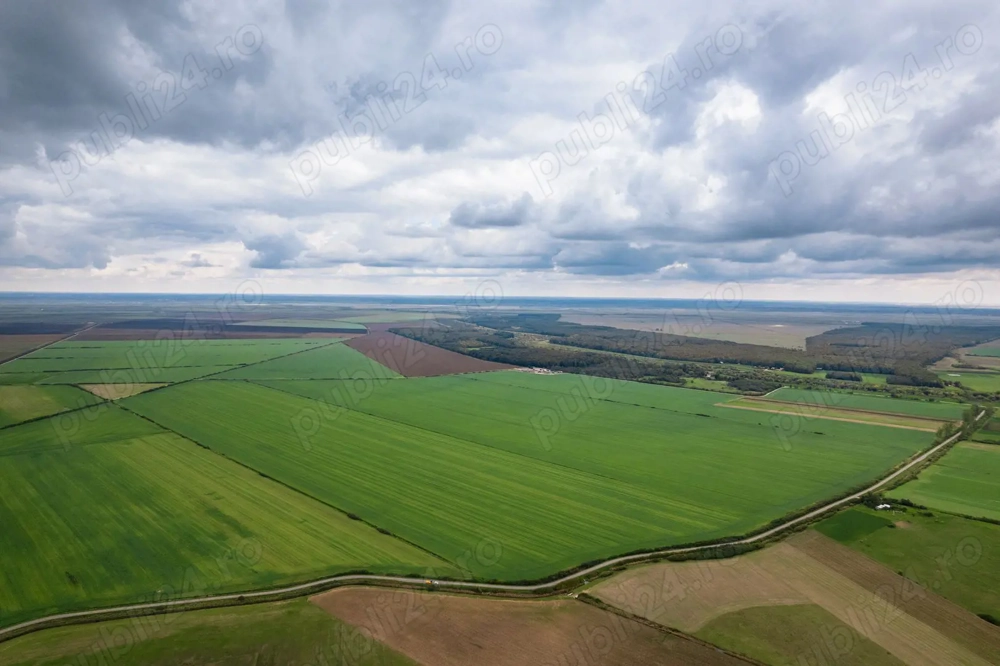 Vând teren la un preț foarte bun