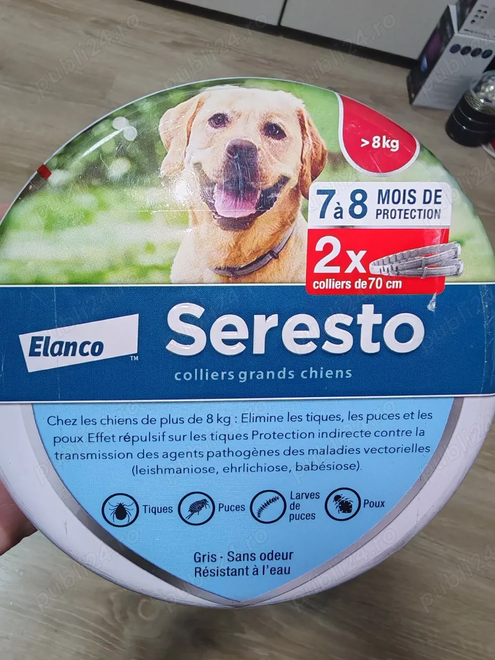 Zgarda ciini anripurici