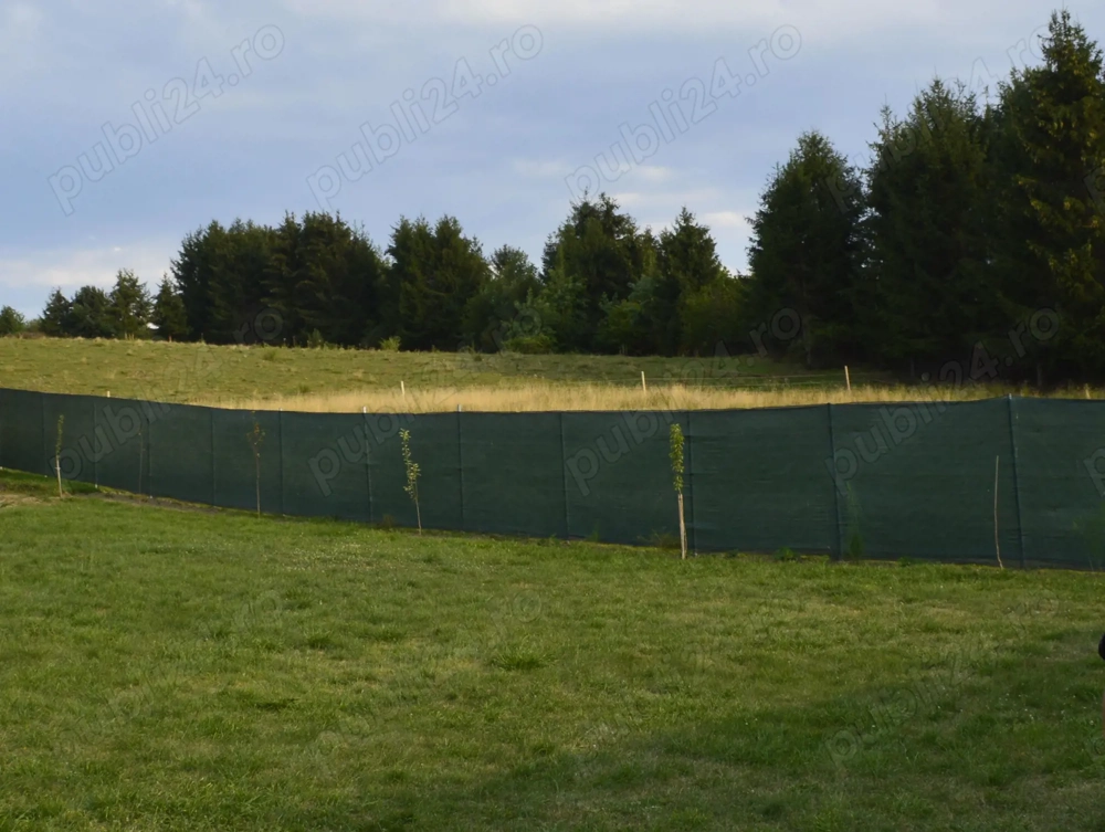 Teren Intravilan lângă pădure   Curent & Apă GRATUIT (Sistem Solar)