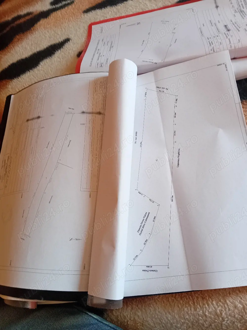 Vand terenuri extravilan pe marginea padurii ce se preteaza pentru impadurire in supeafata de 60000