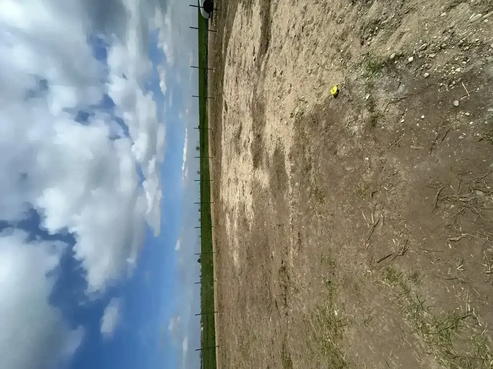 Teren de vânzare Giarmata