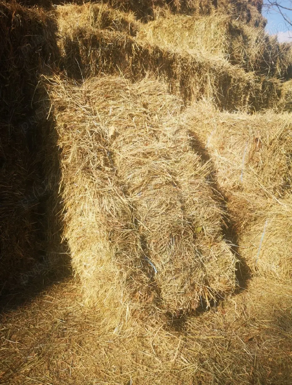 Vând baloți 16 Ron balotul 