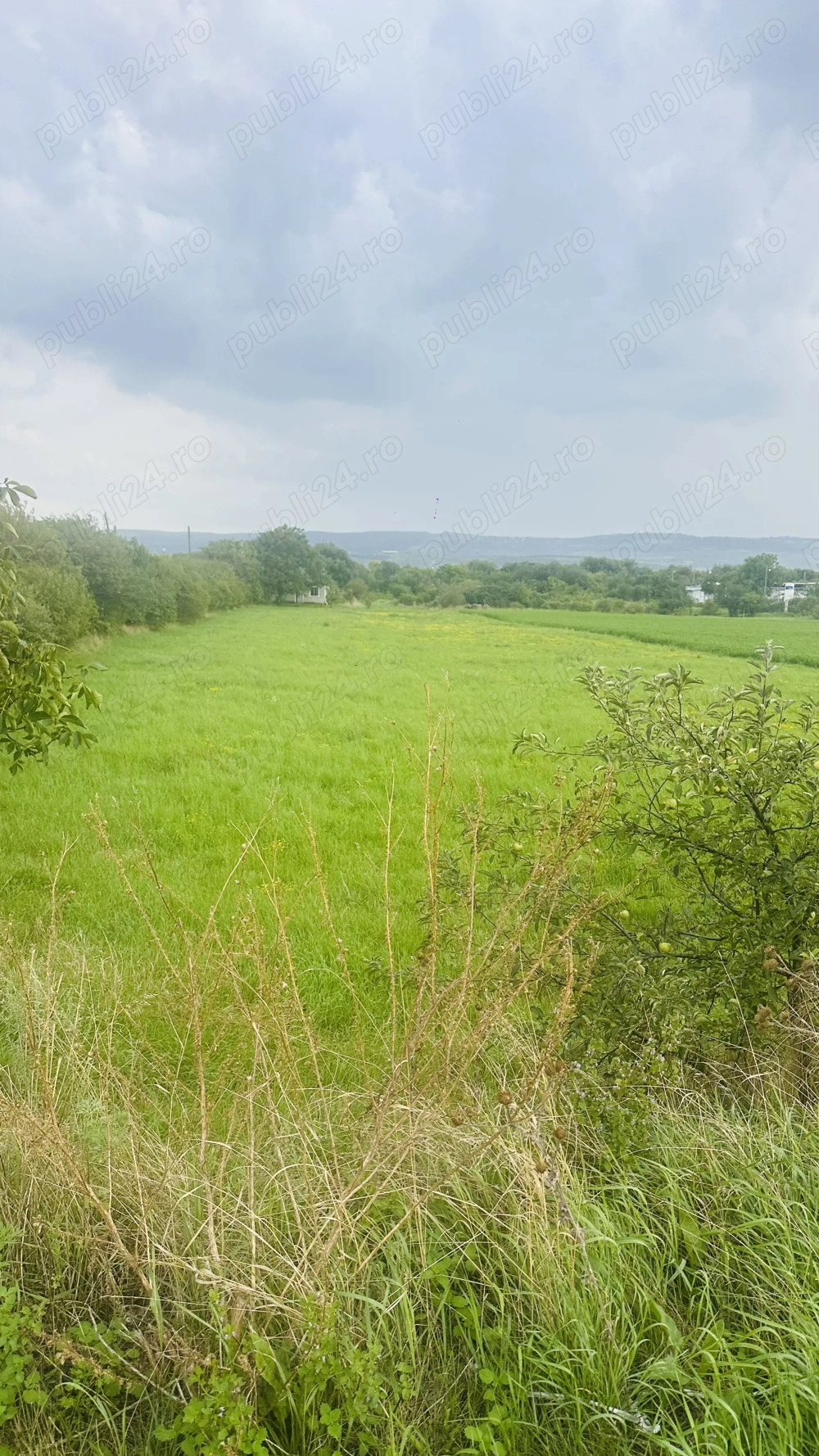 Teren intravilan Centura Zalău Hale