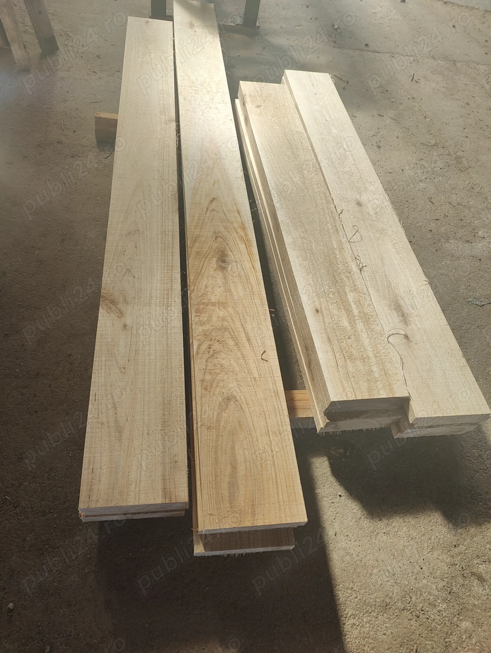 Gaterist - operator banzic pentru debitare material lemnos