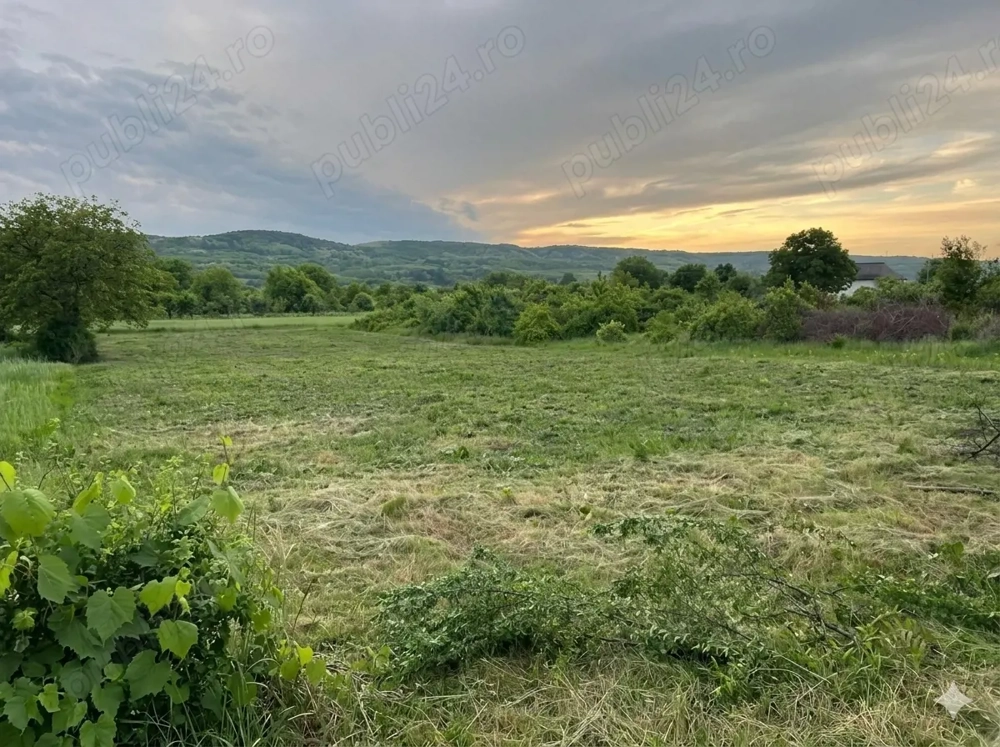Vanzare teren intravilan Topoloveni, Arges 1933 mp