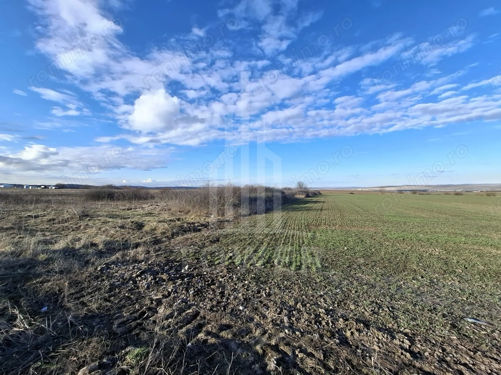 Teren Intravilan de Vânzare – 4300 mp – Cristian, zona Aeroport