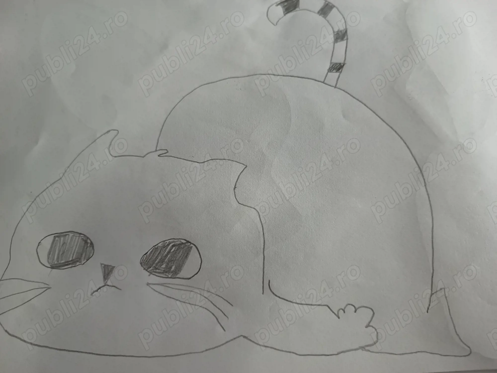 Vând desene artistice originale in creion 