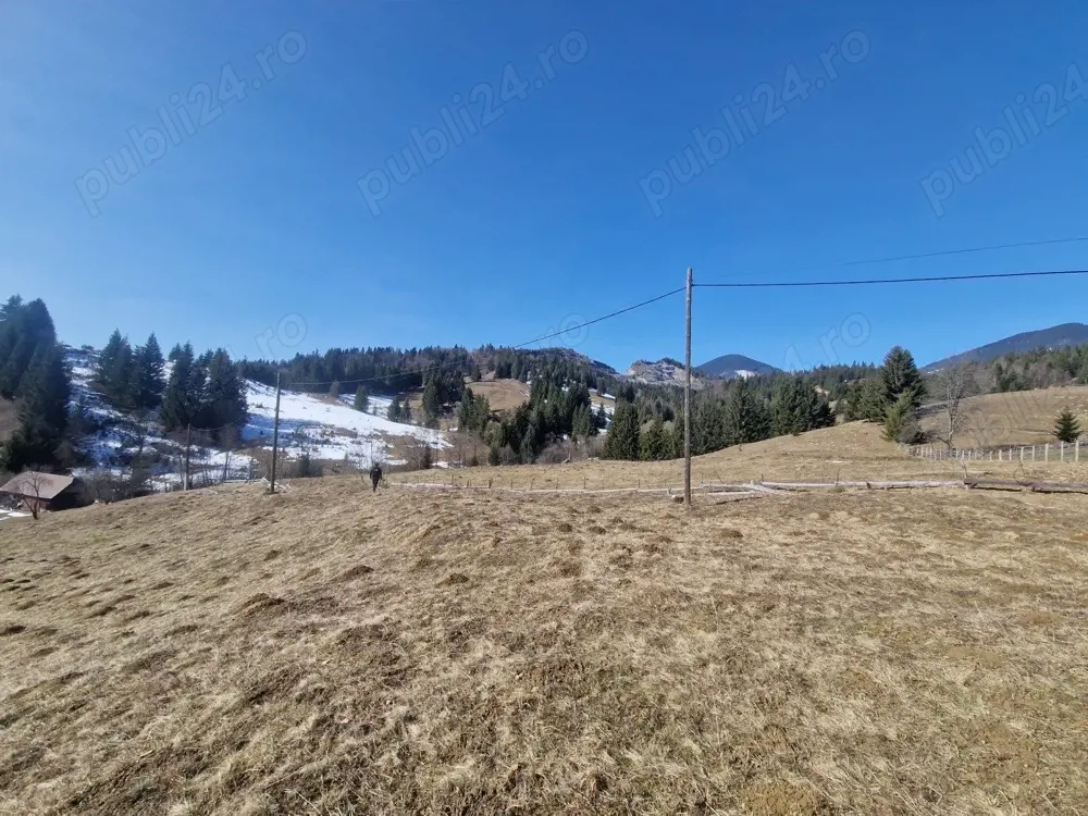 Vând teren la Colibița