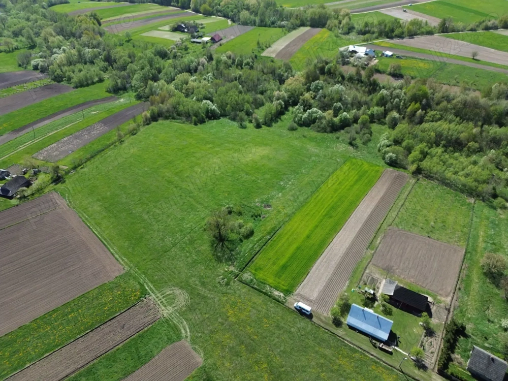  Teren intravilan Horodnic de Jos, 28.000 mp + izvor, ideal pensiune, casă, iaz, 7 km de Rădăuți