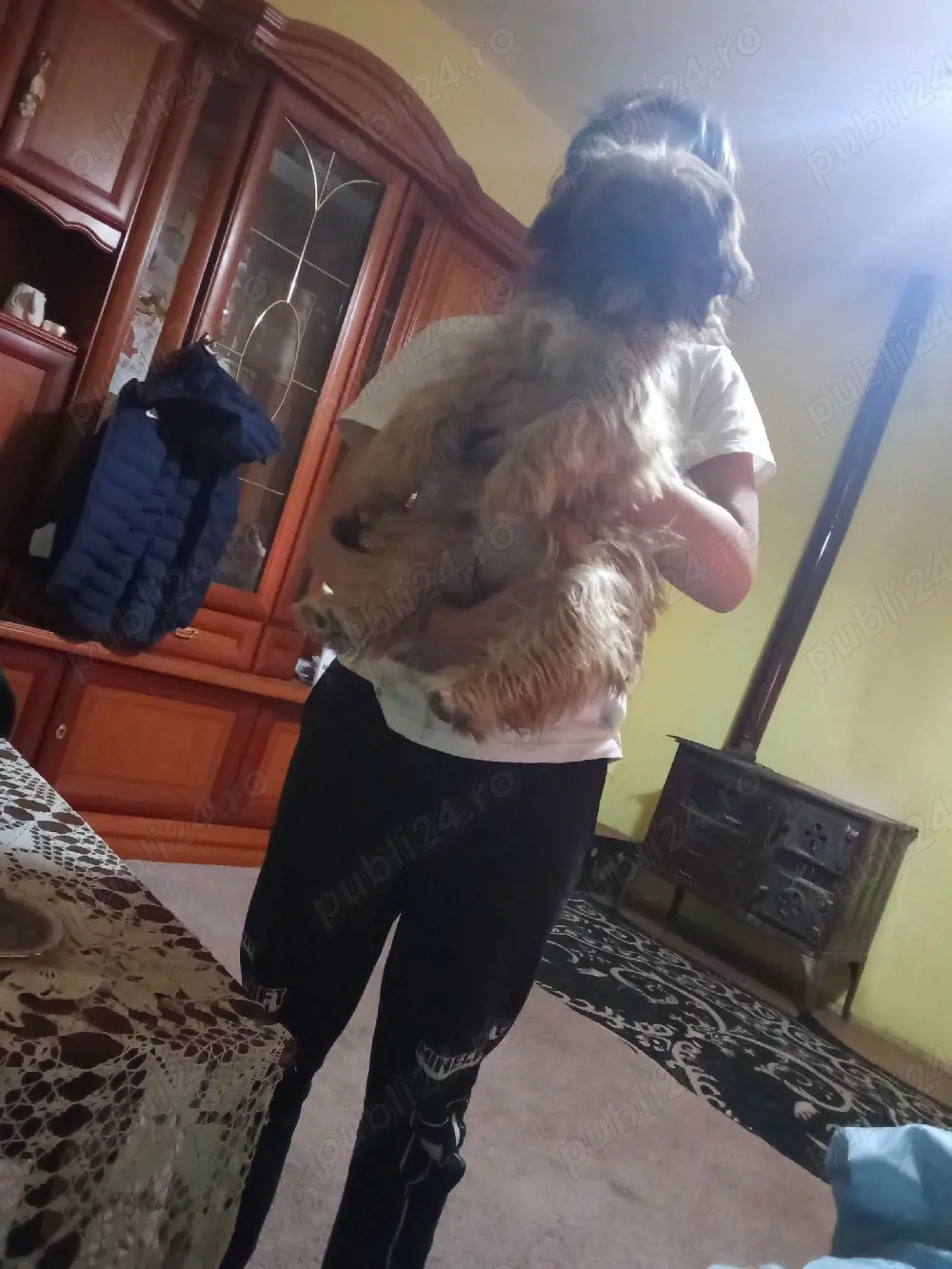 cațelusă foarte cuminte 