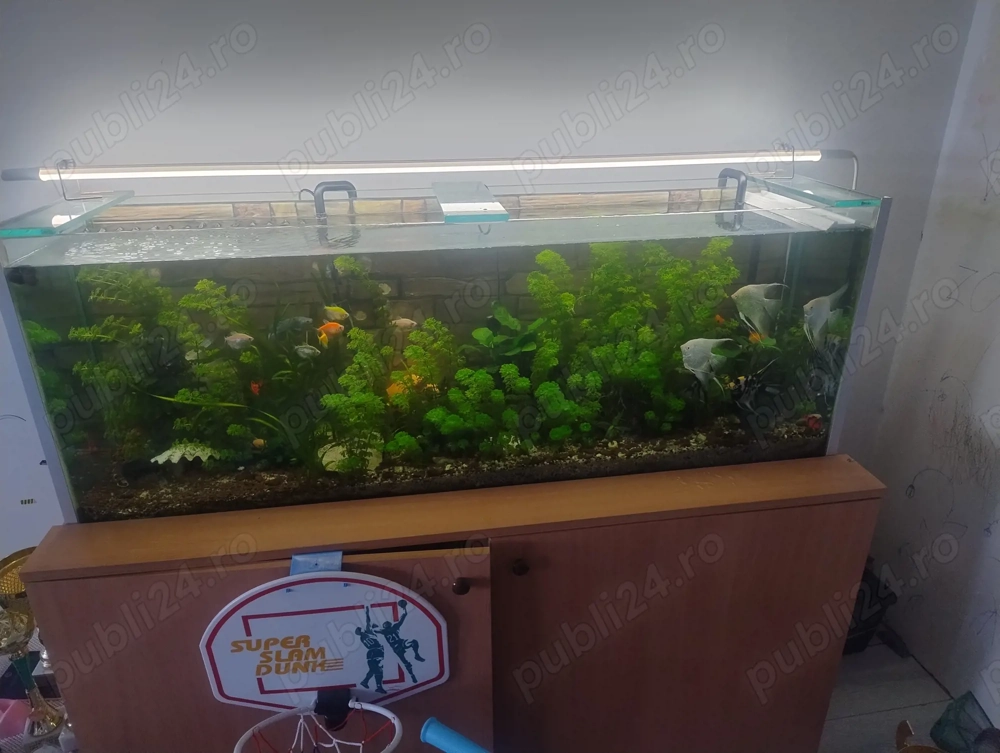 acvariu 270 l 