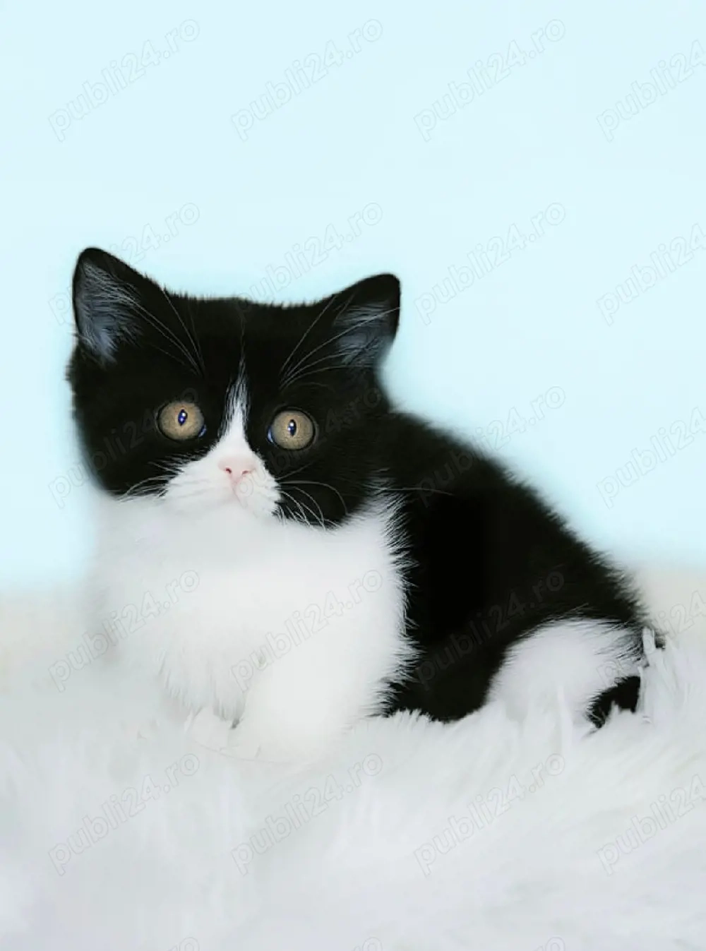 cadouri de 8 martie perfect