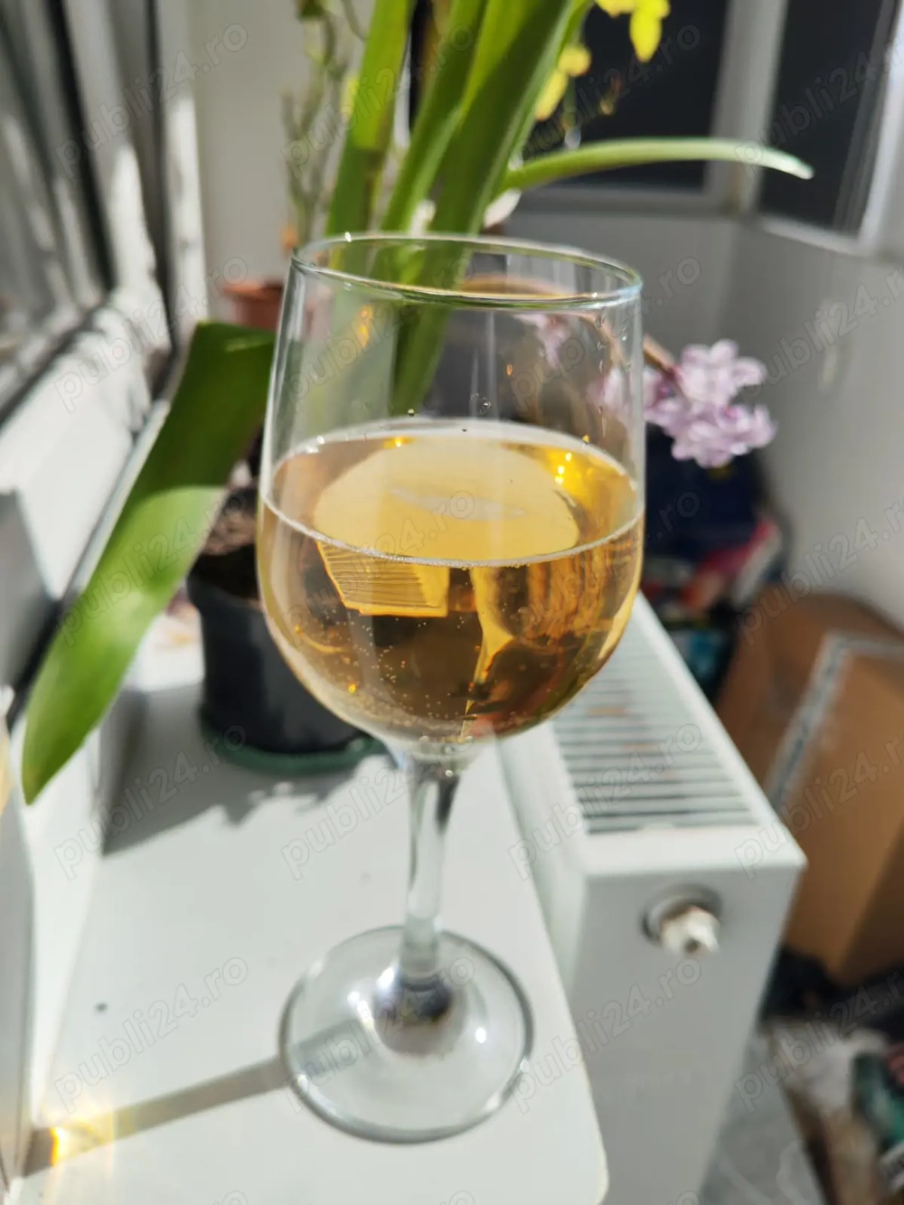 Vând vin de Drăgășani 