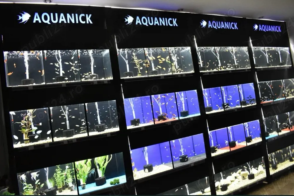 Pesti de acvariu - Aquanick